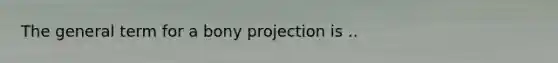 The general term for a bony projection is ..