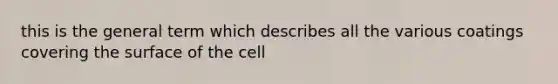 this is the general term which describes all the various coatings covering the surface of the cell