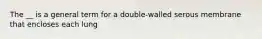The __ is a general term for a double-walled serous membrane that encloses each lung