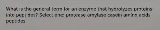 What is the general term for an enzyme that hydrolyzes proteins into peptides? Select one: protease amylase casein amino acids peptides