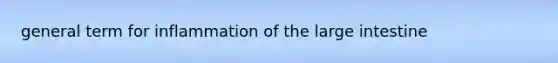 general term for inflammation of the <a href='https://www.questionai.com/knowledge/kGQjby07OK-large-intestine' class='anchor-knowledge'>large intestine</a>