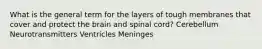 What is the general term for the layers of tough membranes that cover and protect the brain and spinal cord? Cerebellum Neurotransmitters Ventricles Meninges