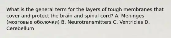 What is the general term for the layers of tough membranes that cover and protect the brain and spinal cord? A. Meninges (мозговые оболочки) B. Neurotransmitters C. Ventricles D. Cerebellum