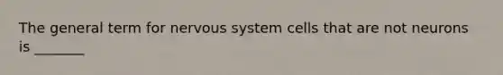 The general term for <a href='https://www.questionai.com/knowledge/kThdVqrsqy-nervous-system' class='anchor-knowledge'>nervous system</a> cells that are not neurons is _______