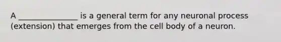 A _______________ is a general term for any neuronal process (extension) that emerges from the cell body of a neuron.