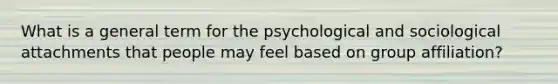 What is a general term for the psychological and sociological attachments that people may feel based on group affiliation?