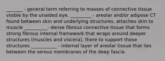 _______ - general term referring to masses of connective tissue visible by the unaided eye. _________ - areolar and/or adipose CT found between skin and underlying structures, attaches skin to muscle __________- dense fibrous connective tissue that forms strong fibrous internal framework that wraps around deeper structures (muscles and viscera), there to support those structures ___________ - internal layer of areolar tissue that lies between the serous membranes of the deep fascia