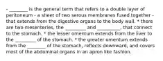 - ________ is the general term that refers to a double layer of peritoneum - a sheet of two serous membranes fused together - that extends from the digestive organs to the body wall. * there are two mesenteries, the _________ and __________, that connect to the stomach. * the lesser omentum extends from the liver to the _________ of the stomach. * the greater omentum extends from the ________ of the stomach, reflects downward, and covers most of the abdominal organs in an apron like fashion.