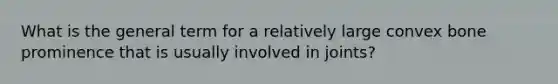 What is the general term for a relatively large convex bone prominence that is usually involved in joints?