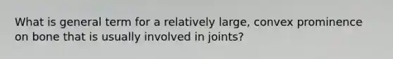 What is general term for a relatively large, convex prominence on bone that is usually involved in joints?