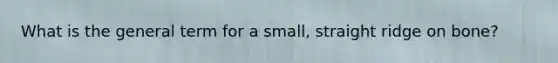 What is the general term for a small, straight ridge on bone?