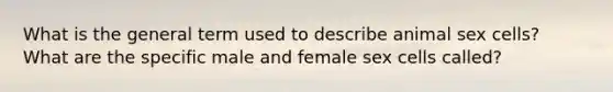 What is the general term used to describe animal sex cells? What are the specific male and female sex cells called?