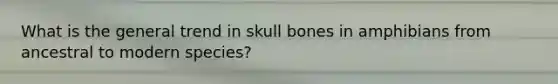 What is the general trend in skull bones in amphibians from ancestral to modern species?