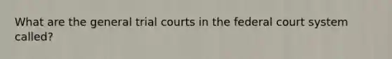 What are the general trial courts in the federal court system called?