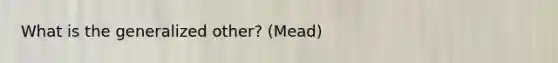 What is the generalized other? (Mead)