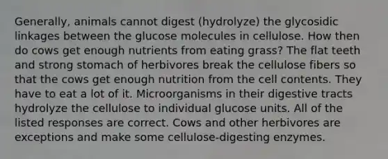 Generally, animals cannot digest (hydrolyze) the glycosidic linkages between the glucose molecules in cellulose. How then do cows get enough nutrients from eating grass? The flat teeth and strong stomach of herbivores break the cellulose fibers so that the cows get enough nutrition from the cell contents. They have to eat a lot of it. Microorganisms in their digestive tracts hydrolyze the cellulose to individual glucose units. All of the listed responses are correct. Cows and other herbivores are exceptions and make some cellulose-digesting enzymes.