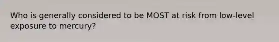 Who is generally considered to be MOST at risk from low-level exposure to mercury?