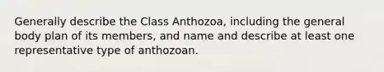 Generally describe the Class Anthozoa, including the general body plan of its members, and name and describe at least one representative type of anthozoan.