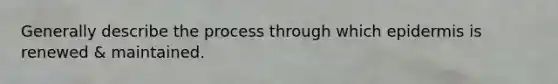 Generally describe the process through which epidermis is renewed & maintained.