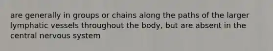 are generally in groups or chains along the paths of the larger lymphatic vessels throughout the body, but are absent in the central nervous system