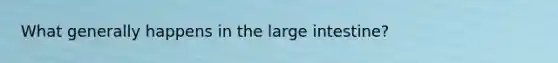 What generally happens in the large intestine?