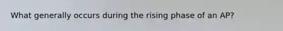 What generally occurs during the rising phase of an AP?