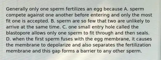 Generally only one sperm fertilizes an egg because A. sperm compete against one another before entering and only the most fit one is accepted. B. sperm are so few that two are unlikely to arrive at the same time. C. one small entry hole called the blastopore allows only one sperm to fit through and then seals. D. when the first sperm fuses with the egg membrane, it causes the membrane to depolarize and also separates the fertilization membrane and this gap forms a barrier to any other sperm.