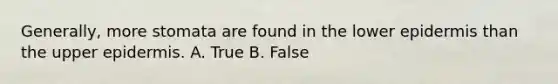 Generally, more stomata are found in the lower epidermis than the upper epidermis. A. True B. False