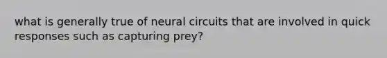 what is generally true of neural circuits that are involved in quick responses such as capturing prey?