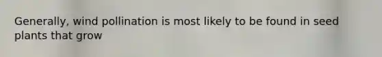 Generally, wind pollination is most likely to be found in seed plants that grow