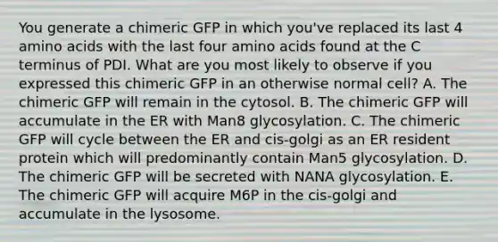 You generate a chimeric GFP in which you've replaced its last 4 amino acids with the last four amino acids found at the C terminus of PDI. What are you most likely to observe if you expressed this chimeric GFP in an otherwise normal cell? A. The chimeric GFP will remain in the cytosol. B. The chimeric GFP will accumulate in the ER with Man8 glycosylation. C. The chimeric GFP will cycle between the ER and cis-golgi as an ER resident protein which will predominantly contain Man5 glycosylation. D. The chimeric GFP will be secreted with NANA glycosylation. E. The chimeric GFP will acquire M6P in the cis-golgi and accumulate in the lysosome.