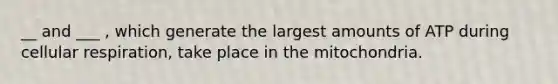 __ and ___ , which generate the largest amounts of ATP during cellular respiration, take place in the mitochondria.