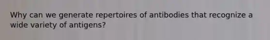 Why can we generate repertoires of antibodies that recognize a wide variety of antigens?