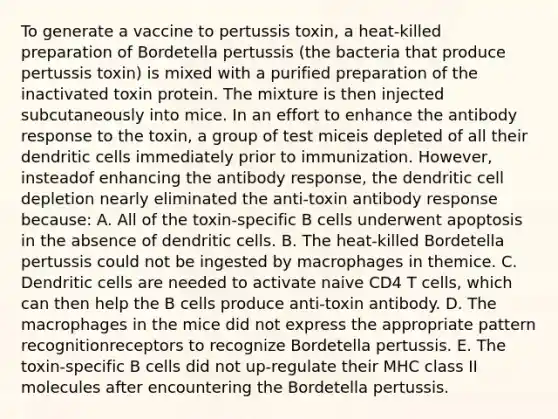 To generate a vaccine to pertussis toxin, a heat-killed preparation of Bordetella pertussis (the bacteria that produce pertussis toxin) is mixed with a purified preparation of the inactivated toxin protein. The mixture is then injected subcutaneously into mice. In an effort to enhance the antibody response to the toxin, a group of test miceis depleted of all their dendritic cells immediately prior to immunization. However, insteadof enhancing the antibody response, the dendritic cell depletion nearly eliminated the anti-toxin antibody response because: A. All of the toxin-specific B cells underwent apoptosis in the absence of dendritic cells. B. The heat-killed Bordetella pertussis could not be ingested by macrophages in themice. C. Dendritic cells are needed to activate naive CD4 T cells, which can then help the B cells produce anti-toxin antibody. D. The macrophages in the mice did not express the appropriate pattern recognitionreceptors to recognize Bordetella pertussis. E. The toxin-specific B cells did not up-regulate their MHC class II molecules after encountering the Bordetella pertussis.