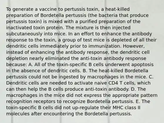 To generate a vaccine to pertussis toxin, a heat-killed preparation of Bordetella pertussis (the bacteria that produce pertussis toxin) is mixed with a purified preparation of the inactivated toxin protein. The mixture is then injected subcutaneously into mice. In an effort to enhance the antibody response to the toxin, a group of test mice is depleted of all their dendritic cells immediately prior to immunization. However, instead of enhancing the antibody response, the dendritic cell depletion nearly eliminated the anti-toxin antibody response because: A. All of the toxin-specific B cells underwent apoptosis in the absence of dendritic cells. B. The heat-killed Bordetella pertussis could not be ingested by macrophages in the mice. C. Dendritic cells are needed to activate naive CD4 T cells, which can then help the B cells produce anti-toxin antibody. D. The macrophages in the mice did not express the appropriate pattern recognition receptors to recognize Bordetella pertussis. E. The toxin-specific B cells did not up-regulate their MHC class II molecules after encountering the Bordetella pertussis.