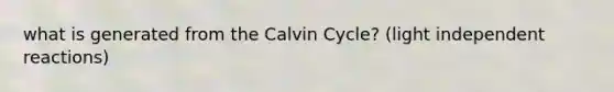 what is generated from the Calvin Cycle? (light independent reactions)