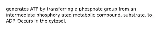 generates ATP by transferring a phosphate group from an intermediate phosphorylated metabolic compound, substrate, to ADP. Occurs in the cytosol.