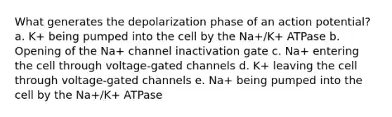 What generates the depolarization phase of an action potential? a. K+ being pumped into the cell by the Na+/K+ ATPase b. Opening of the Na+ channel inactivation gate c. Na+ entering the cell through voltage-gated channels d. K+ leaving the cell through voltage-gated channels e. Na+ being pumped into the cell by the Na+/K+ ATPase