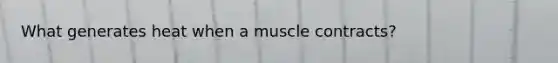 What generates heat when a muscle contracts?