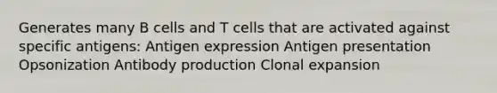 Generates many B cells and T cells that are activated against specific antigens: Antigen expression Antigen presentation Opsonization Antibody production Clonal expansion