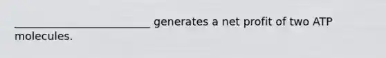 _________________________ generates a net profit of two ATP molecules.