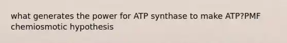 what generates the power for ATP synthase to make ATP?PMF chemiosmotic hypothesis