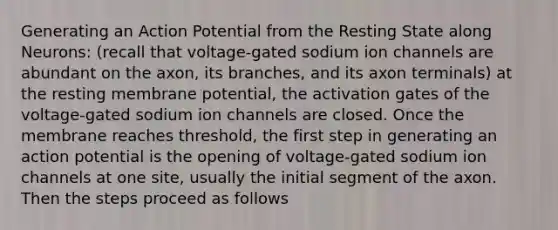 Generating an Action Potential from the Resting State along Neurons: (recall that voltage-gated sodium ion channels are abundant on the axon, its branches, and its axon terminals) at the resting membrane potential, the activation gates of the voltage-gated sodium ion channels are closed. Once the membrane reaches threshold, the first step in generating an action potential is the opening of voltage-gated sodium ion channels at one site, usually the initial segment of the axon. Then the steps proceed as follows