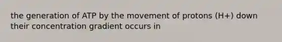 the generation of ATP by the movement of protons (H+) down their concentration gradient occurs in