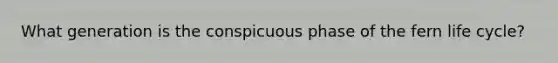 What generation is the conspicuous phase of the fern life cycle?