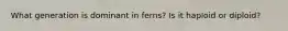 What generation is dominant in ferns? Is it haploid or diploid?