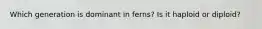 Which generation is dominant in ferns? Is it haploid or diploid?