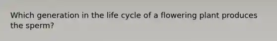 Which generation in the life cycle of a flowering plant produces the sperm?