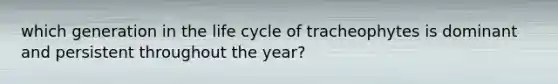 which generation in the life cycle of tracheophytes is dominant and persistent throughout the year?