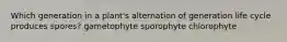 Which generation in a plant's alternation of generation life cycle produces spores? gametophyte sporophyte chlorophyte